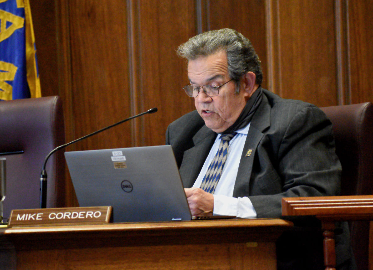 040621-smt-news-city-council-mobile-ordinance-003
